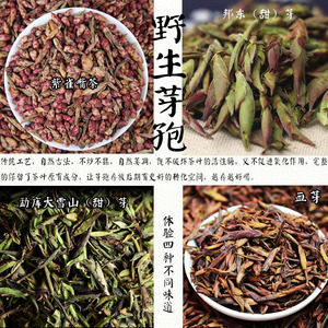 云南普洱茶 雀嘴茶 大雪山野生古树芽孢 野生茶芽 花果香4款*25g