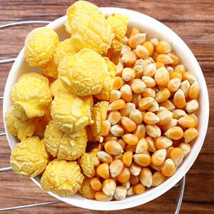 爆玉米花的小玉米粒