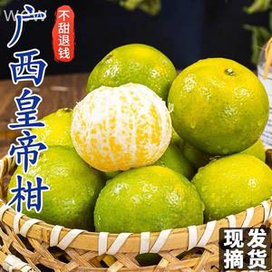 广西皇帝柑大果10斤新鲜纯甜橘子蜜桔当季时令水果贡柑桔子包邮
