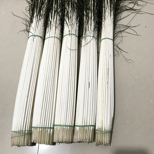 孔雀羽毛杆 浮j漂材料 孔雀毛杆 diy手工自制鱼漂孔雀羽漂材料