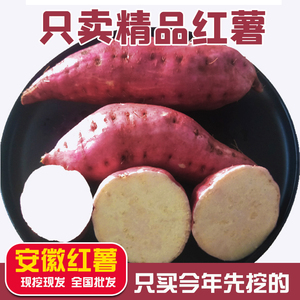 安徽宿州泗县特产白心红薯老品种山芋番薯甜地瓜一份10斤包邮