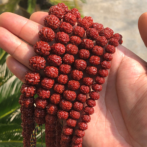 750人付款淘宝印尼小金1佛提子手串刚q08颗矮桩5瓣龙纹爆连肉文玩菩珠