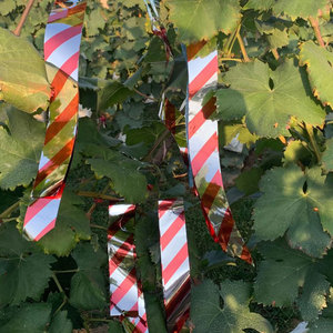 驱鸟彩带农用果园赶鸟反光飘带防鸟带葡萄园吓鸟器七彩镭射驱鸟带