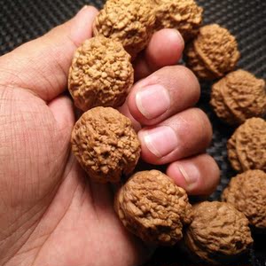 橄榄核手串血舍利金蟾疙瘩铁核桃手持爆肉纹理皮质一流文玩尺寸28