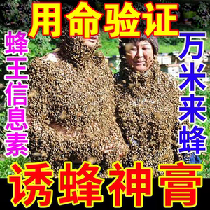 神奇诱蜜蜂招蜂水诱蜂引蜂水神器搜捕野蜜蜂信息素野外专用秘方剂