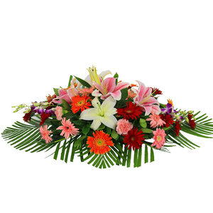 灵肯楠淘宝花瓶装白色蝴蝶兰前台插花商务用花会议台花鲜花展览会桌