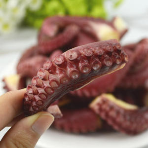 新仿真鱿鱼须模型 假食物海鲜烧烤高仿鱿鱼段菜品配件