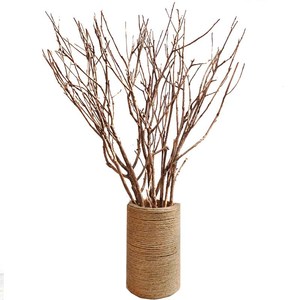 901人付款天猫不规则树枝手工diy干枝树装饰木棍幼儿园创意自然材料干