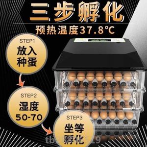 。鸡蛋卵化箱孵化机全自动家用小型孵蛋器卵化器孵蛋机浮付孚报抱