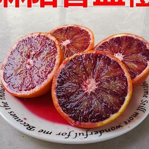 正宗湖南麻阳塔罗科血橙新鲜应季水果中华香甜红肉玫瑰香血橙