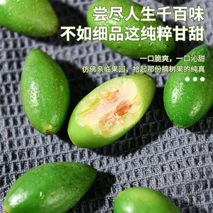 甜橄榄新鲜现摘特级甜种青橄榄福建檀香二号青果生