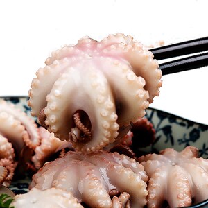 新鲜八爪鱼4斤海鲜鲜活小章鱼迷你短腿章鱼火锅食材当夜捕捞