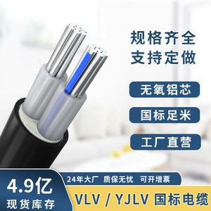 国标VLV2芯线缆10/16/25/50/70/120/150/185/240平方铝芯电线电缆
