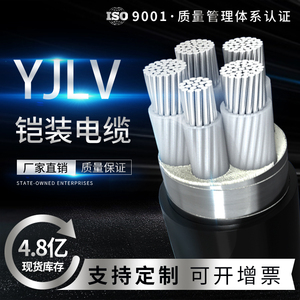 国标VLV4+1铠装护线套10/25/50/95/150平方户外电力铝芯电线电缆