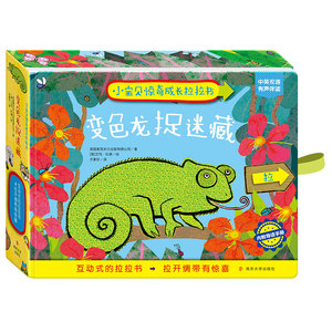 变色龙捉迷藏绘本