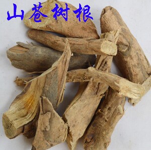 新鲜山苍树根山苍子根木香子木姜子山鸡椒野胡椒根茎枝叶野生500g