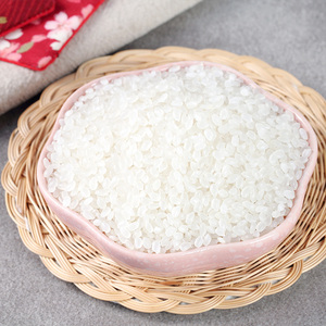 寒露秋香 十月稻田吉林小町米东北 香米粳米核心