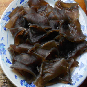 龙泉土特产正宗苦楮干250g山珍果苦槠豆腐干货农家苦子储干苦株片