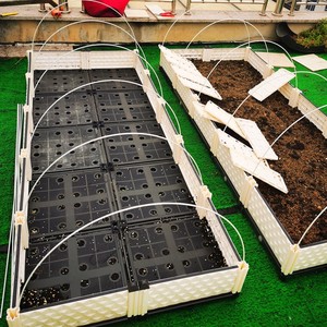 保温棚花架家庭菜园架棚架种菜阳台大棚支架室外菜棚植物家用架子