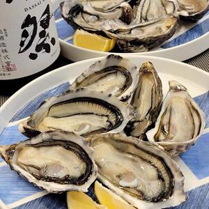 新西兰空运马尔伯勒生蚝鲜活非吉拉多即食刺身a