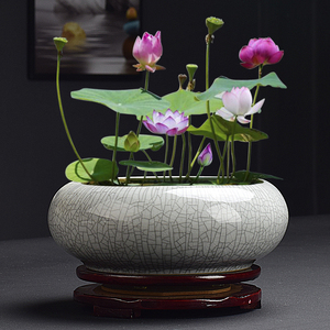 大口径水仙花盆陶瓷大号家用无孔铜钱草专用水培t一叶莲碗莲带底