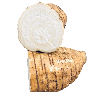 正宗无渣粉葛新鲜葛根广东乐昌火山粉葛现挖农产品蔬菜煲汤