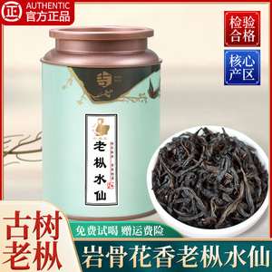 武夷老枞水仙2024新茶乌龙茶岩茶肉桂级特秋茶茶叶自己喝礼盒装