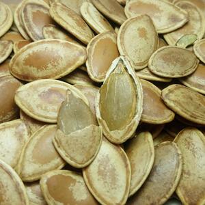 西葫芦籽 瓜子 五香 非南瓜子 坚果炒货休闲零食 散装 500g*2包邮