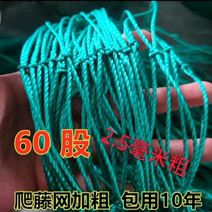 丝瓜架绳