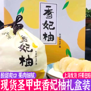 圣甲虫包