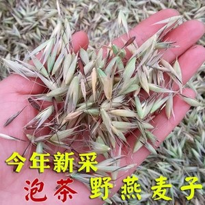 野麦草