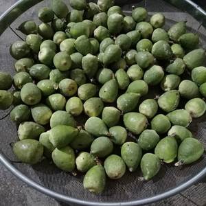新鲜霹雳果木莲豆腐籽凉粉果爱玉籽手搓冰粉果石木瓜深山野生现a