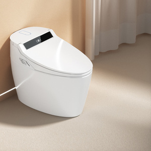 ssww浪鲸智能马桶水箱款无水压限制全自动电动洗屁烘干家用坐便器