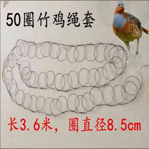 观赏竹鸡笼养殖竹鸡斑鸠白面水鸡鹧鸪毛鸡鸟笼工具全套网罩笼套子