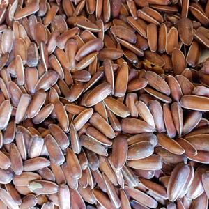 云南特产原味红皮生瓜子葵花籽孕妇坚果休闲零食农家自种新货