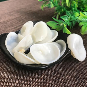 优质白玉耳木耳干货玉耳兔耳菌100g包邮野生白木耳银耳特色食材