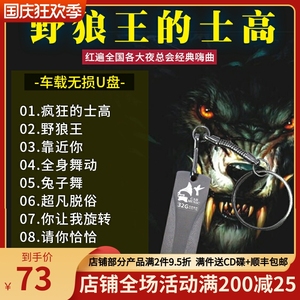 车载u盘荷东猛士的士高野狼王dj歌曲劲爆炸街音乐无损高音质优盘