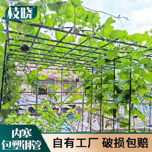新款爬园花架架农用花房窗户铁杆西瓜花棚架花藤支葡萄藤蔬菜棚.