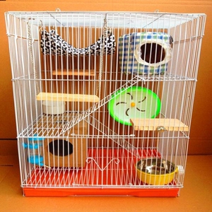 404人付款淘宝松鼠笼子专用一只仓鼠豪华大花枝鼠双人间多层豚鼠