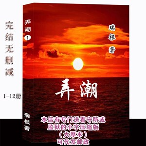 《弄潮》掌舵者原名 瑞根 完结无删减全集1-12册官场经典小说