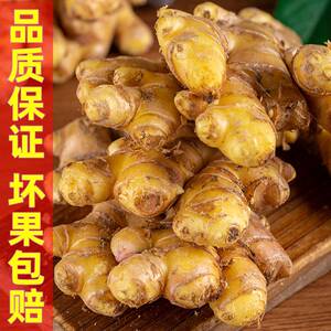 湖南汝城小黄姜5斤新鲜食用生姜高山小黄姜老姜土姜包邮月子姜