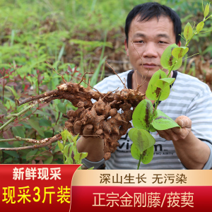 菝葜金刚刺 铁菱角乌鱼刺新鲜现挖泡酒广东煲汤药材汤料12人付款8