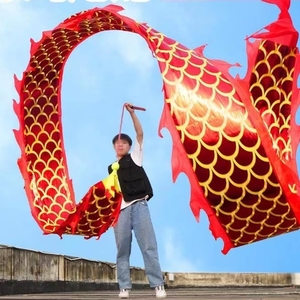 舞龙彩带立体彩绸布龙烫金手甩龙运动锻炼龙布单人龙头舞户外飞龙