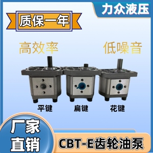 液压齿轮泵CBN-T310/314/325/316左旋右旋液压泵总成齿轮泵全系列