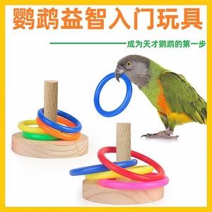 鹦鹉玩具套圈圈益智训练用品虎皮玄凤鹦鹉互动耐咬耐玩玩具