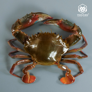 仿真赤甲红蟹螃蟹模型假海蟹石甲红模具仿真海鲜石蟹花盖蟹模型