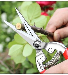 葡萄梳果剪刀包邮