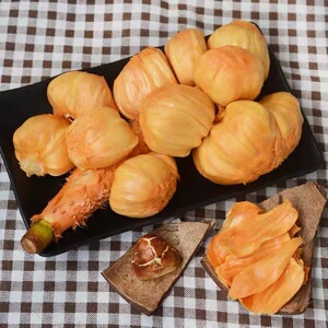 海南榴莲蜜软糯香甜红肉湿苞一整个榴莲蜜顺丰新鲜菠萝蜜