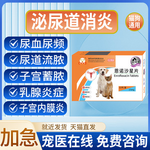 宠物狗狗猫咪产后消炎药泌尿道感染子宫蓄脓乳腺炎用恩诺沙星片