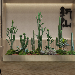 仙人掌搭配装饰 商场别墅造景假仙人柱绿植 仿生植物盆景5人付款600